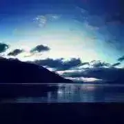 晩生】赤玉ねぎ苗▽レッドムーン100本【超メルカリ市】 - メルカリ