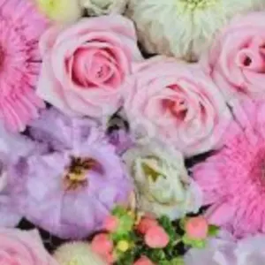 Royal Scandal ロゼッタ レア 缶バッジ - メルカリ