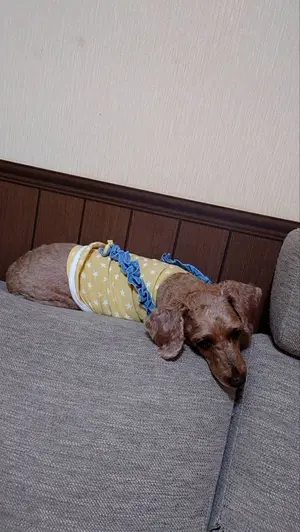 ひろひろさん