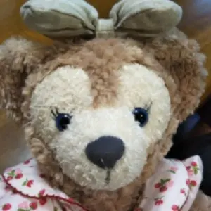 たろさん