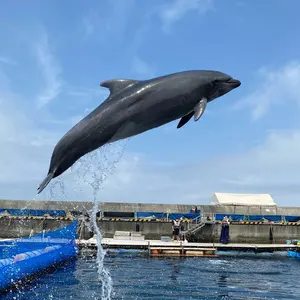 キイナちゃん人形KIINA氷川きよしバーモンぬいぐるみ - メルカリ