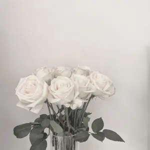 ALISHA MARIE×CASETiFY iPhone14pro case - メルカリ