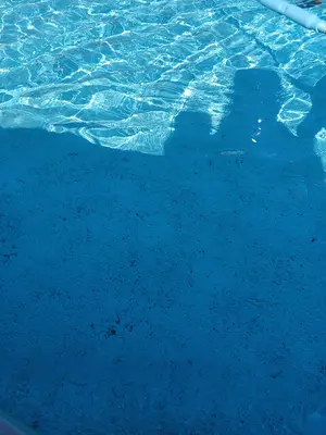 はと