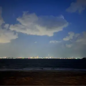y*u様 顎模型 - メルカリ