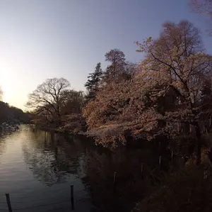 ベリー　即対応可能！！