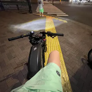 MATE X250 解除済み カスタム多数 - メルカリ