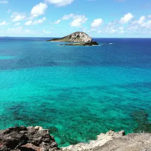 美品】noanoa hawaii シルク100%大判ストール スカーフ - メルカリ