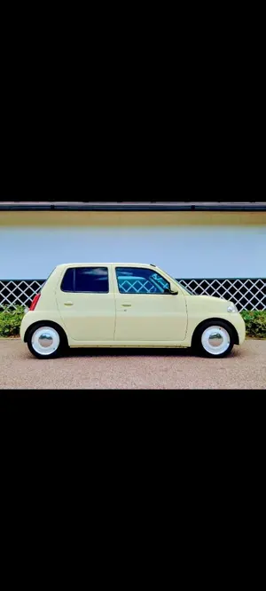 スズキ ラパン HE33S Zoom スーパーダウンフォースC 特注ダウンサス