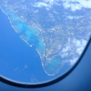 ほぼ畑中