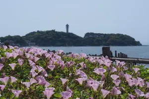 渡辺商会 バッセル BACELL スプーン 革製ワレット付き - メルカリ