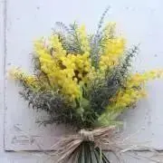 ディノ】SEVENTEEN 北京 サイン会 一直娱 yzy 当選者限定 トレカ