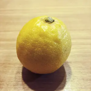 ひ*ぱ様 （希少品）Aldenコードバンvチップ63088（TASSELS別注