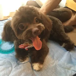 ミッシェル・マトナ　66/120　銅版画 ミッシェル・マトナ 66/120 銅版画 - メルカリ