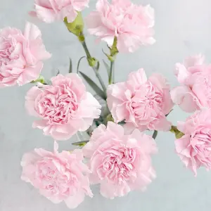 ご当地 ハローキティ 根付 ストラップ 群馬 花豆 - メルカリ