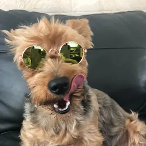 北海道用ランエボ CT9A フロントゴールドスリットローター左右