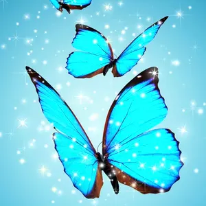 ファイアーエムブレム サイファ B14 すべての路の果てに アクア SR