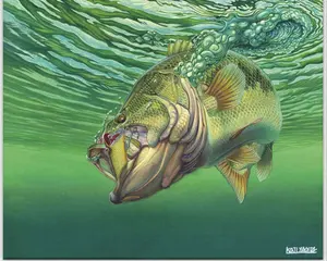 Bass★Fishing　田村釣具　黒柿　オールアングルグリップ Bass☆Fishing様専用 田村釣具 黒柿 オールアングルグリップ - メルカリ