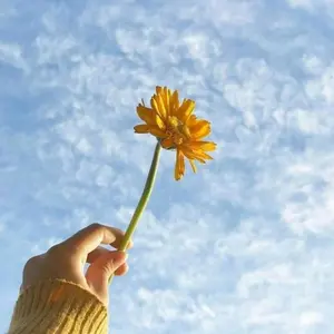 げんじぶ キラリ スクラッチ 長野凌大 IDフォト - メルカリ