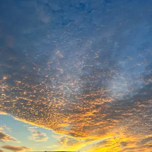 コブラ 3W用 ディアマナBB Diamana BB 73x 43.25インチ コブラ 3W用 ディアマナBB Diamana BB 73x 43.25インチ