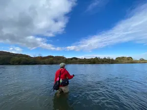 Scientific Anglers フライライン Wハンド ＃8 OH＆D2本 - メルカリ