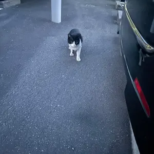 【週末セール　日曜まで】OKHEALING バットのみ 週末セール 日曜まで】OKHEALING バットのみ 週末セール 日曜