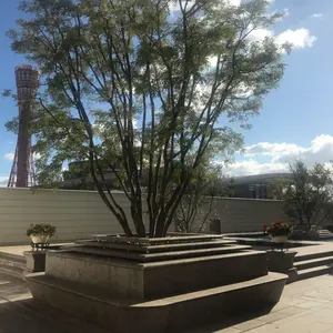 白州Story of the Distillery 2025 高島屋ギフト包装済 - メルカリ