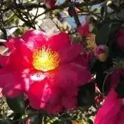 みぃ＊プロフ必読