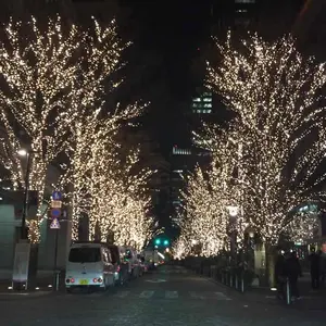 無知の知 ～賢者への道～ DVD 6枚セット 千葉修司 - メルカリ