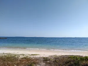 【直筆サイン入り】リコーブラックラムズ東京 津村大志 山本秀 応援シャツ リコーブラックラムズ東京 津村大志 山本秀 応援シャツ | 山本秀 直筆