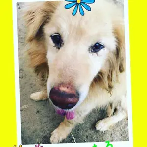 naonao(プロフ読んでください)