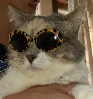 アブガルシア ABU アンバサダーロイヤルエクスプレス バレーヒル