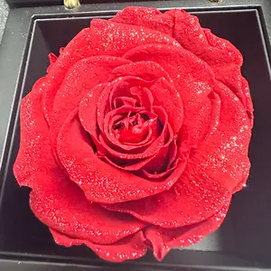 トラネックスレチピール1箱(5セット)＋シールパック5枚付き - メルカリ