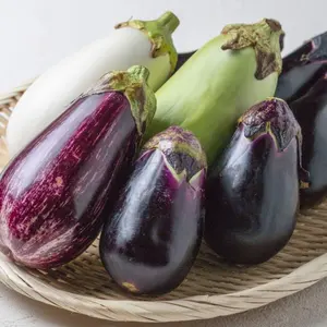 なす（プロフ必読）