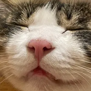 バーンサーフボード【6'0