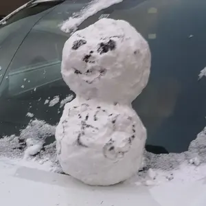 まさまさおじさん