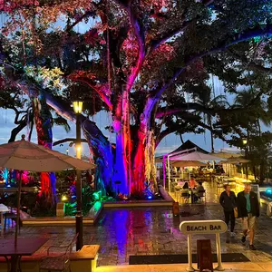 シーズン開幕前にぜひ！　Nike Super bad 2.0 Large シーズン開幕前にぜひ！ Nike Super bad 2.0 Large Nike