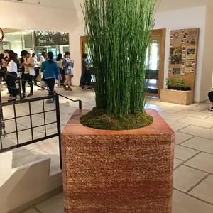 イチジク穂木専用出品です - メルカリ