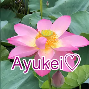 Ayukei♡