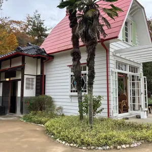 スペイン製 フラメンコ マントンシージョ ロイヤルブルー - メルカリ