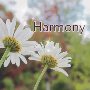 Harmony＊