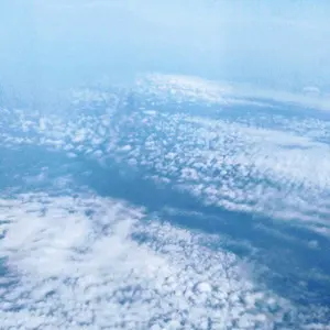 希少AltoidsSmithKendonALTOIDSsmallsアルトイズ空缶 - メルカリ