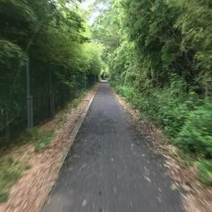 CJD V3PLUS ショートゲージ - メルカリ