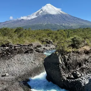 The Macallan 18年 空瓶 未洗净 - メルカリ