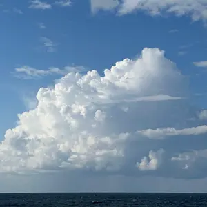 なかち