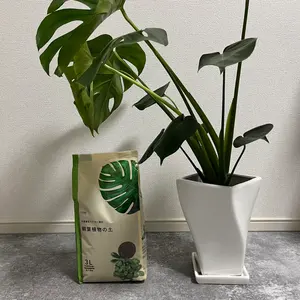 正規品】SS Lazio 2022/23 シーズン ロマニョーリ ユニフォーム - メルカリ