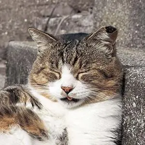スーパーロボット大戦UX、BX ソフトのみ 2本セット - メルカリ