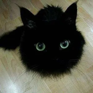 非売品】ココロボ 銀英伝 カスタム 疾風ウォルフモデル (ジャンク