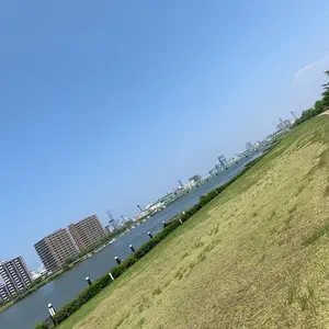 長岡文雄 私の歩む道 社会科教育 生活科教育 上田薫 有田和正 重松鷹泰