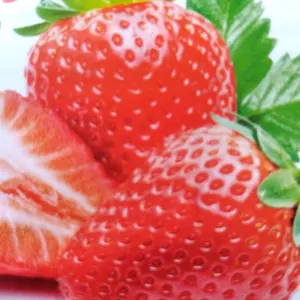 30th アニバーサリー アイリッシュドレスデン リカちゃん - メルカリ