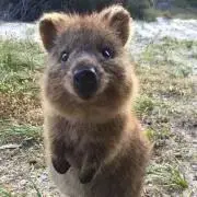 ヴィダルサスーン コンディショナー ビビッドカラーケア 詰め替え 800g